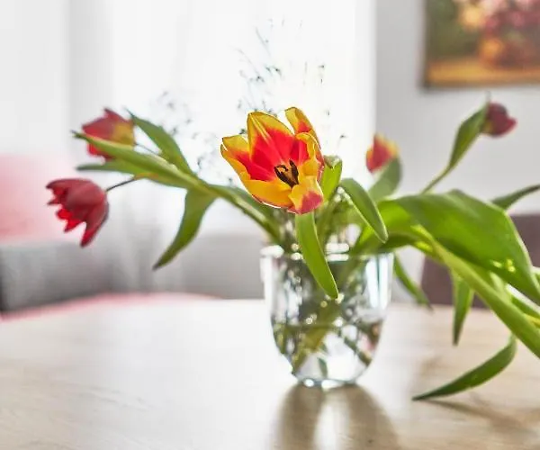 New And Lovely In Centre * Vilnius